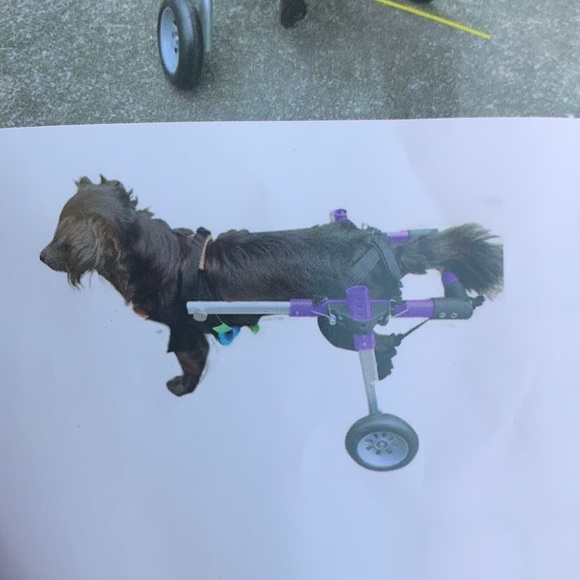 Other - Dog wheelchair. Size small. New.